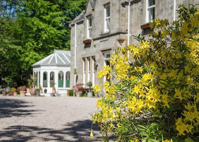 Ravenscourt Guest House